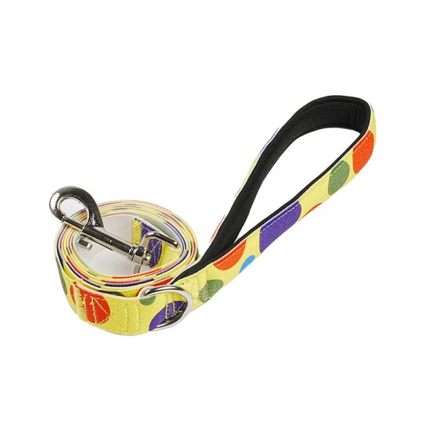 ShopCatDog Patterned Dog Leash 1.5m — Padded Handle