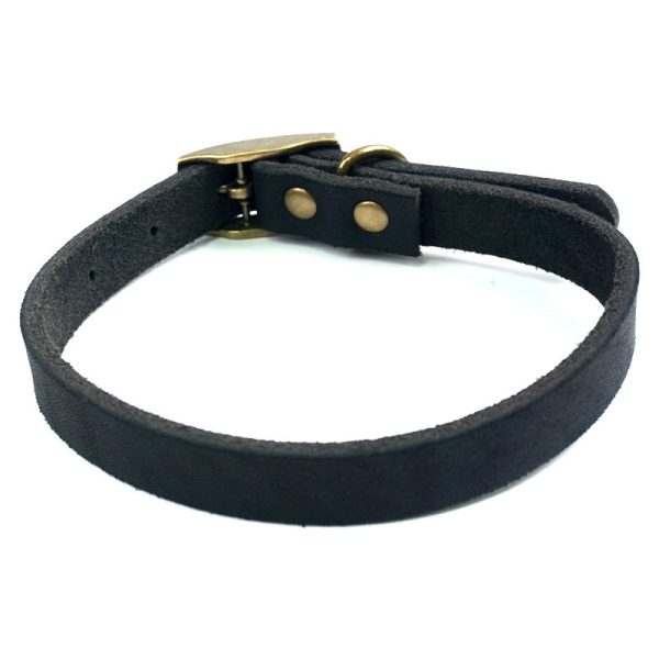 ShopCatDog Full-Grain Leather Dog Collar — Zinc-Alloy Buckle & Welded D-Ring
